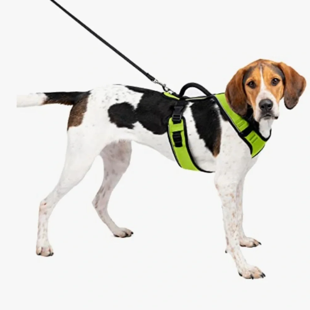 PetSafe EasySport Adjustable Dog Harness w/Control Handle Reflective•Green SizeM